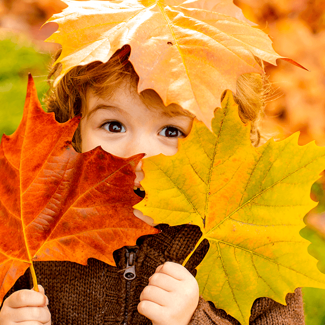 Lapsi pitelee värikkäitä syyslehtiä käsissään ulkona