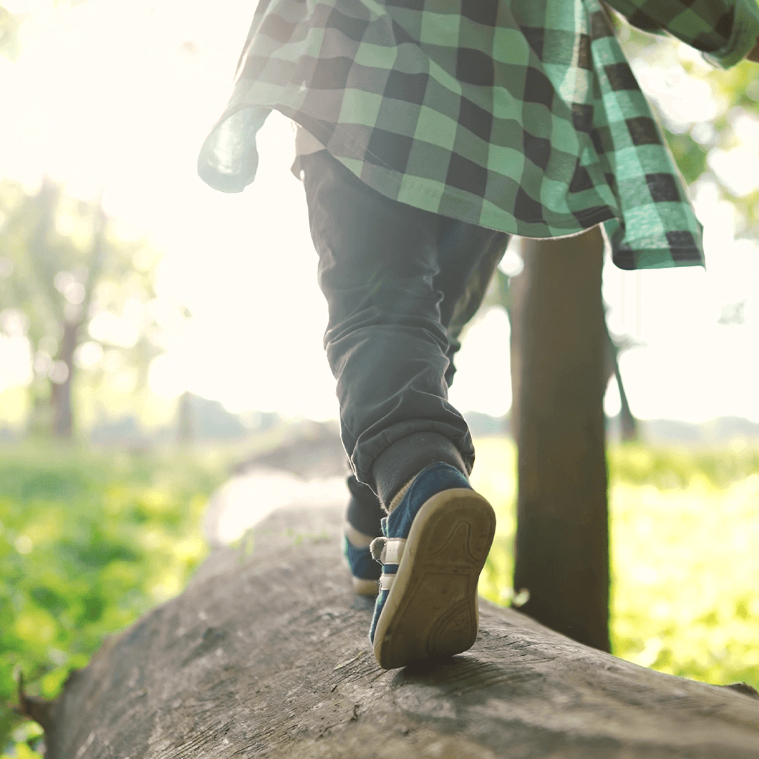 Child walking through a forest – small adventurer exploring nature